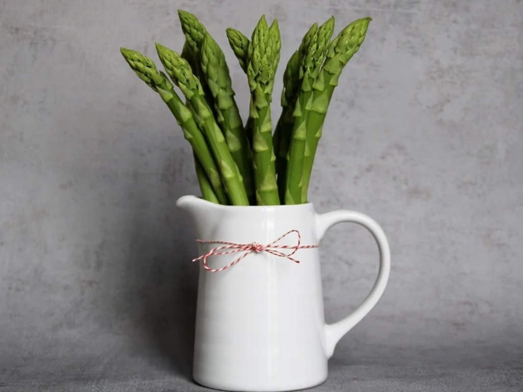 Ilustrasi Asparagus