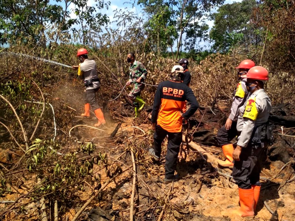 Kebakaran Lahan Aceh