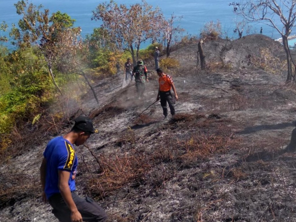 Kebakaran Hutan Aceh
