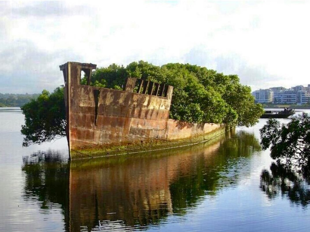 Floating Forest, Australia