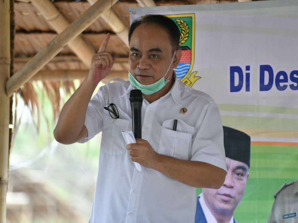 Budi Arie Setiadi