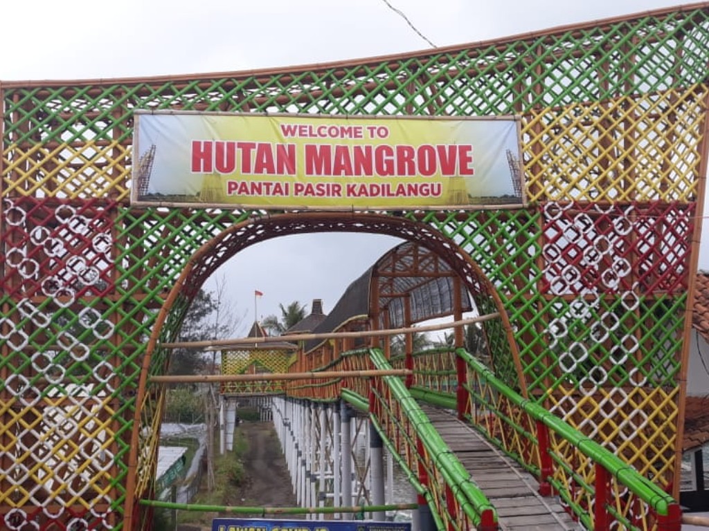 Wisata Hutan Mangrove Kulon Progo