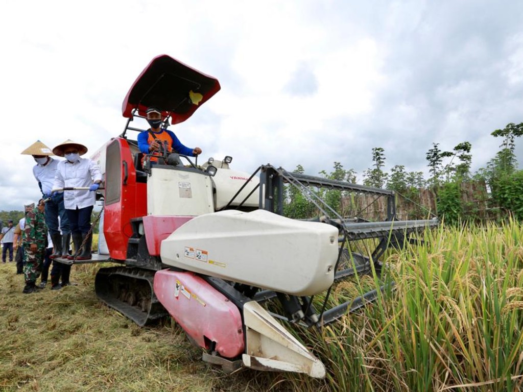 Banyuwangi surplus beras