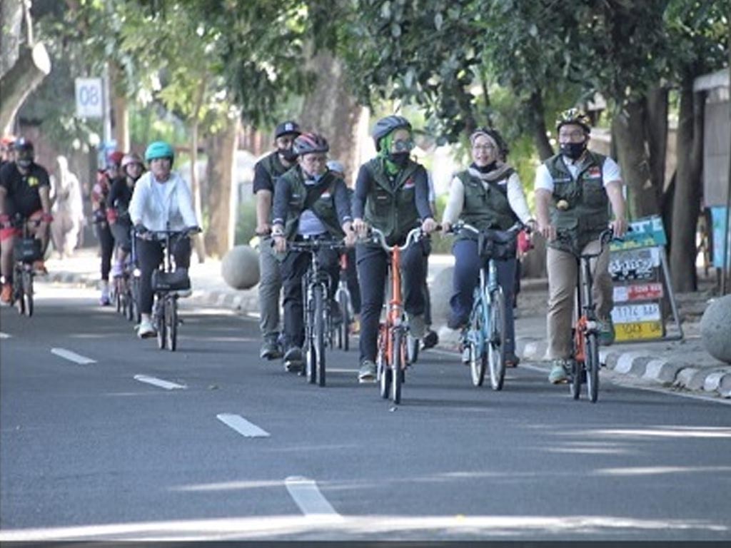 gowes