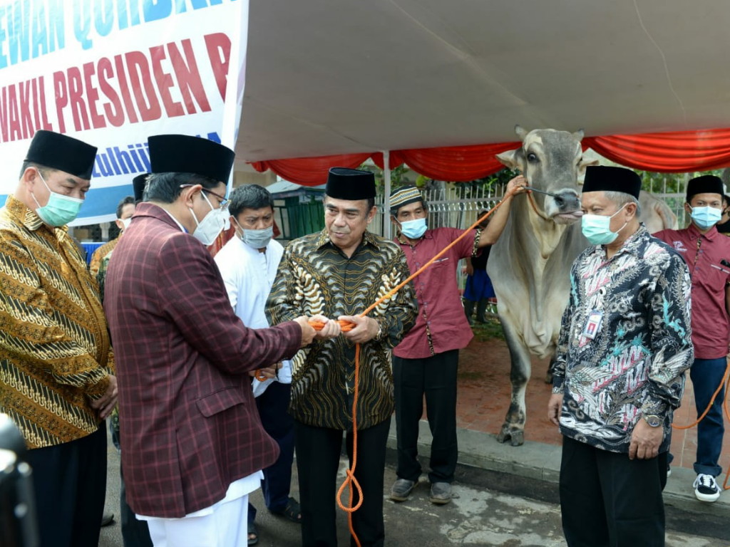 Sapi Kurban Sumbangan Jokowi