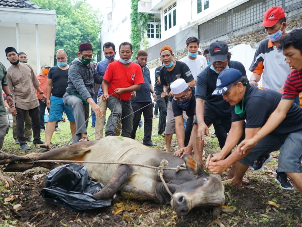 Kurban dari Bobby Nasution