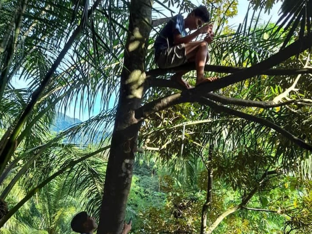 Pelajar Simalungun Panjat Pohon