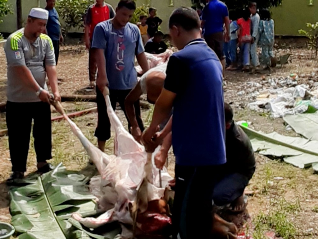 Kurban Aceh Tamiang