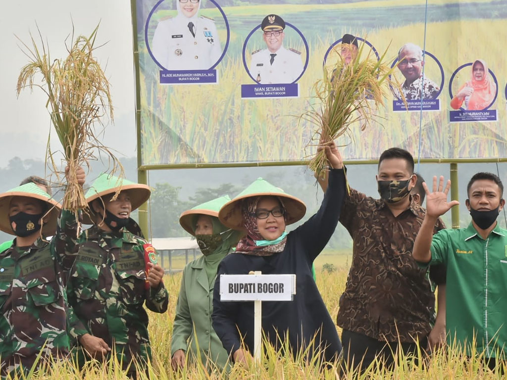 bupati bogor panen raya