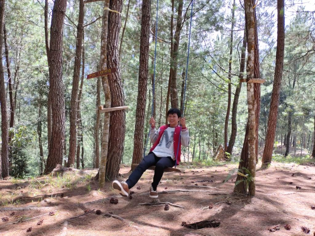 wisata alam To\'Pinus Mamasa Sulbar