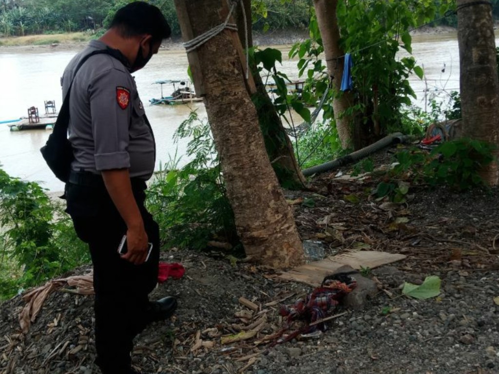 Penemuan Kulit Kepala