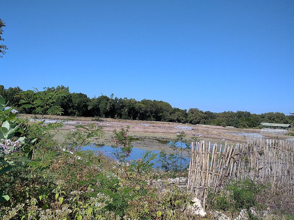 Sawah Borong Torok