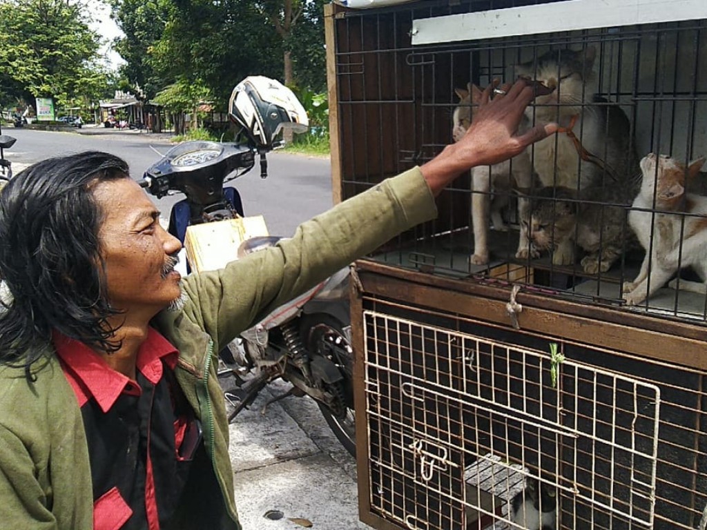 Pemulung Kucing di Yogyakarta