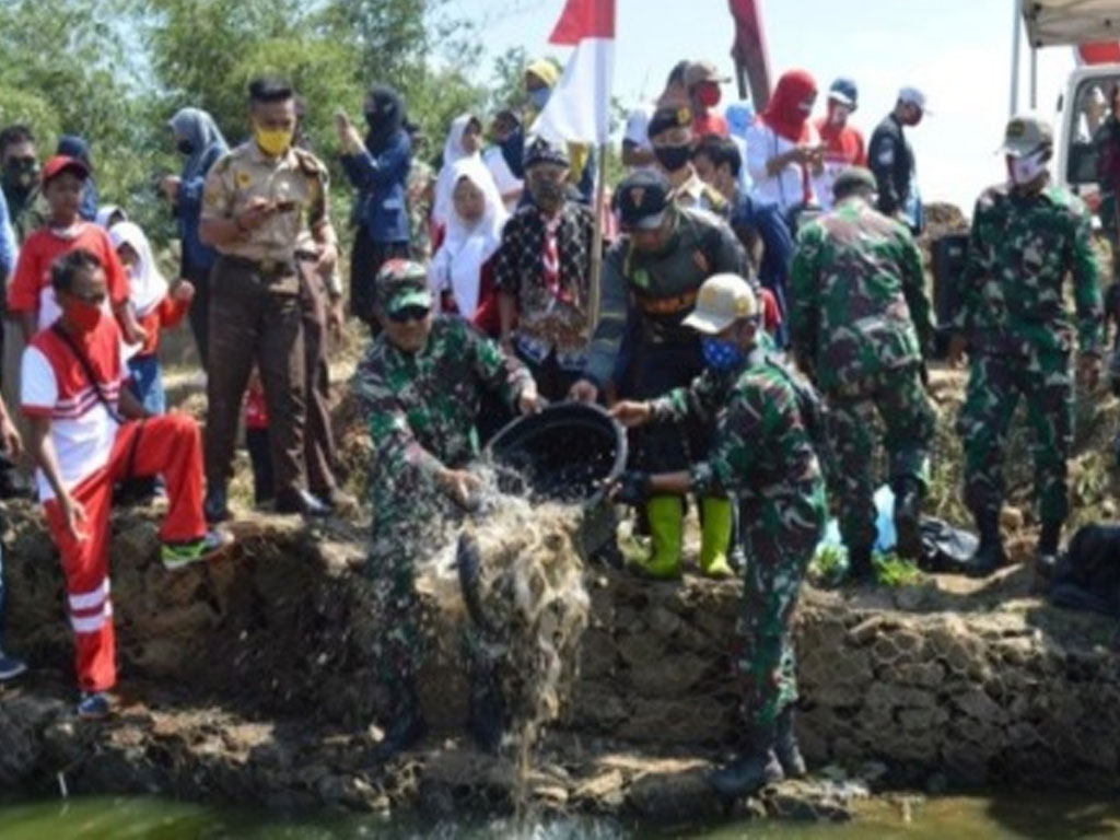 tabur ikan sungai citarum