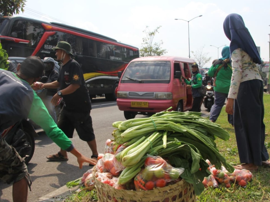 Bagi Sayur Gratis