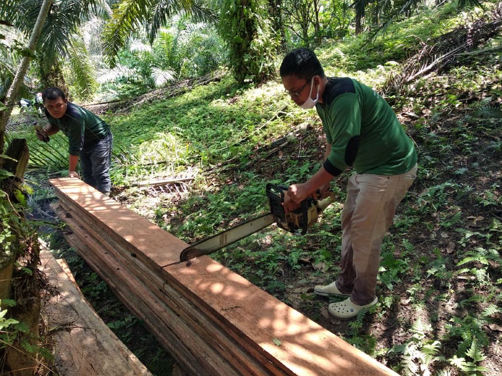 Pembalakan di Langkat