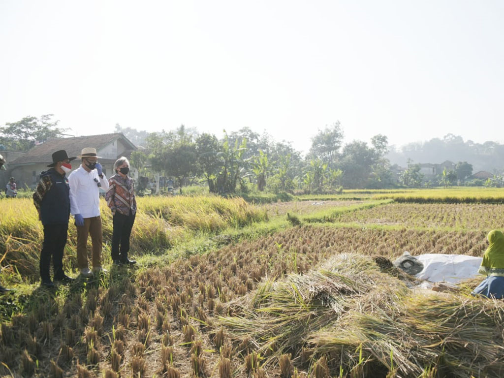 wali kota cimahi