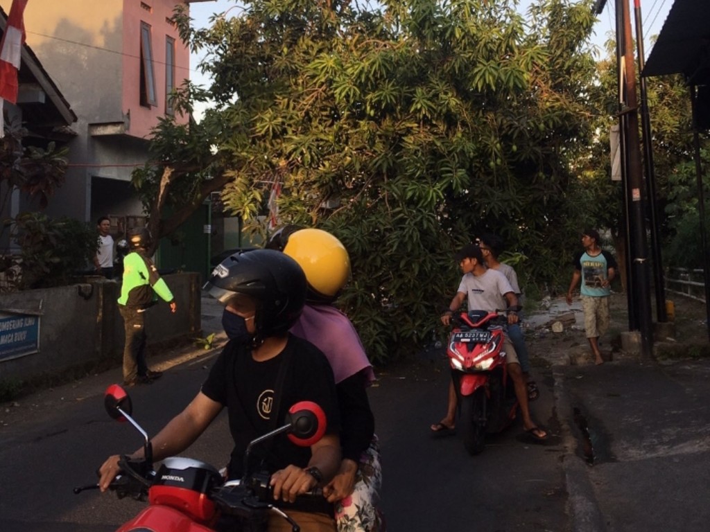 Pohon Roboh di Sleman