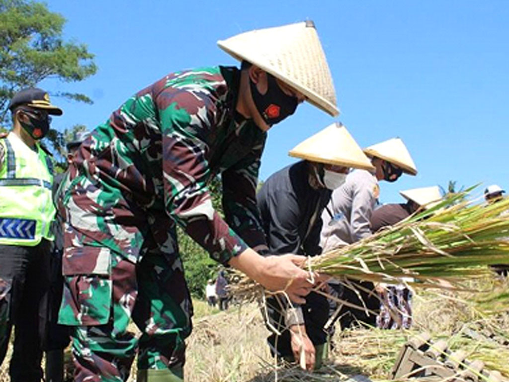 panen raya dandim garut