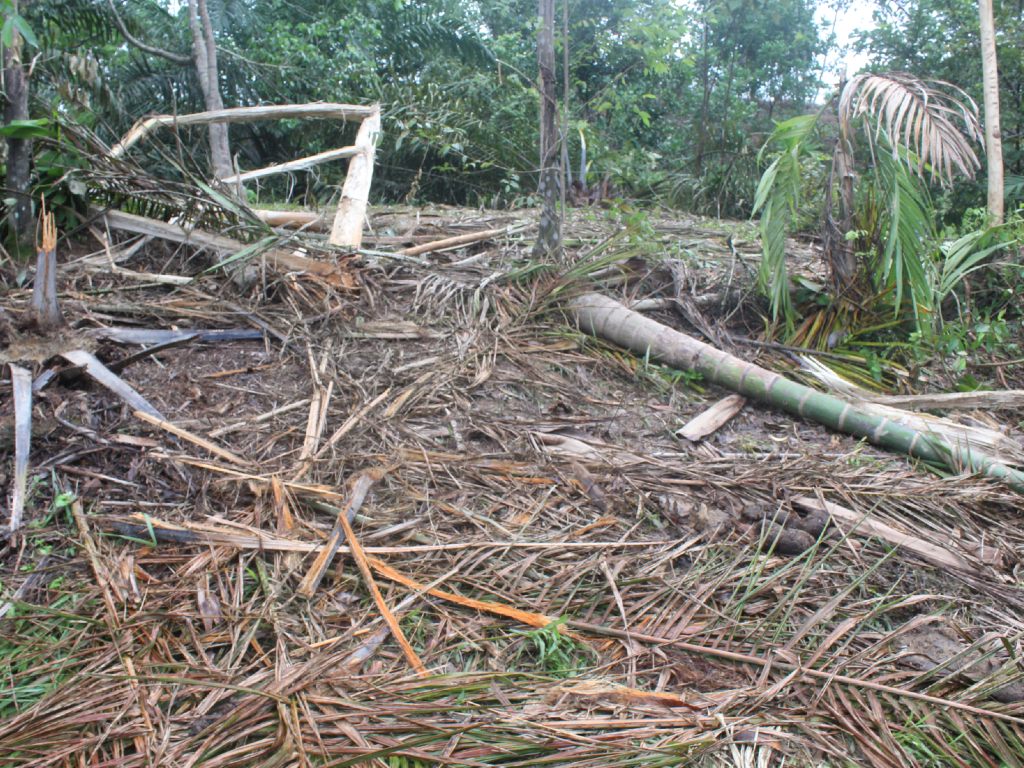 Kebun Nagan Raya