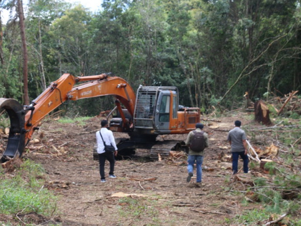 Hutan Taput