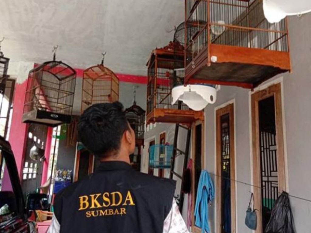 BKSDA Sumbar