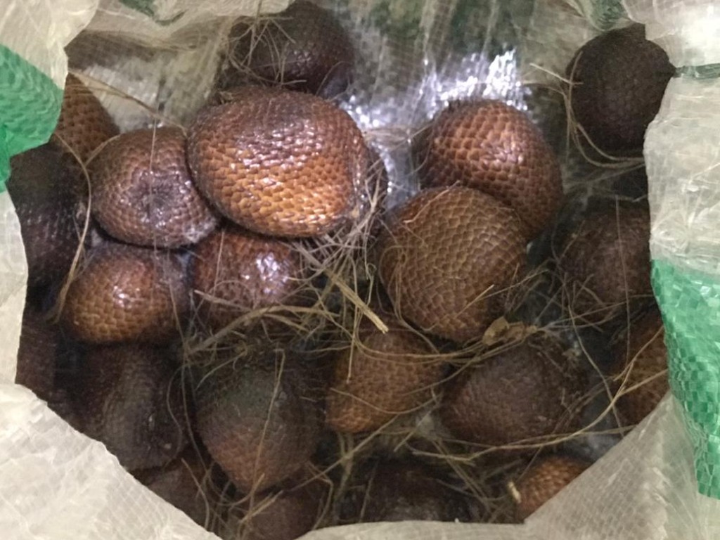 Buah Salak