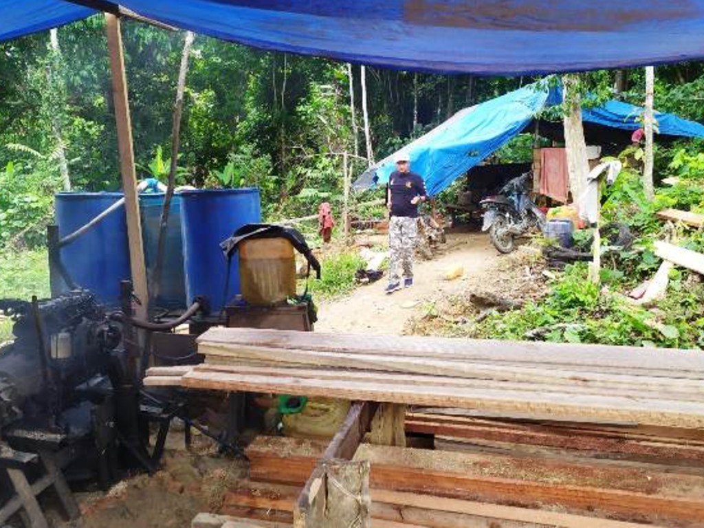Illegal Logging