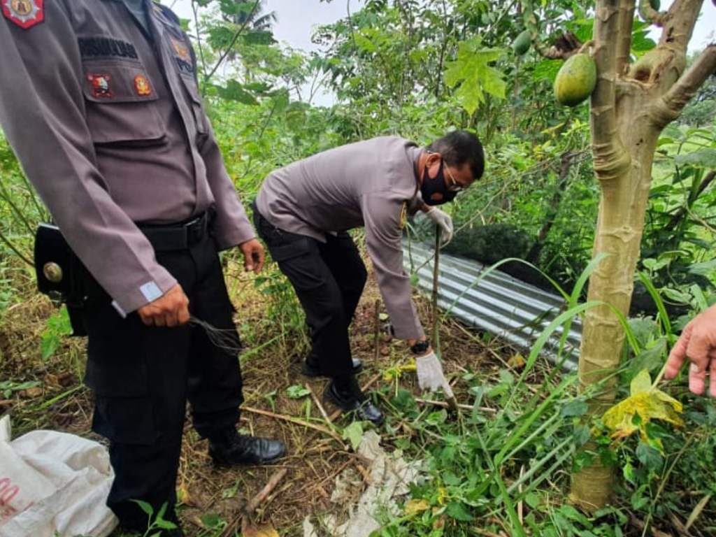 Tersengat listrik di padang