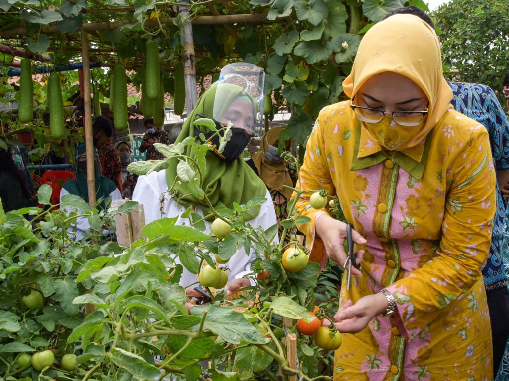 bupati purwakarta resmikan urban farming