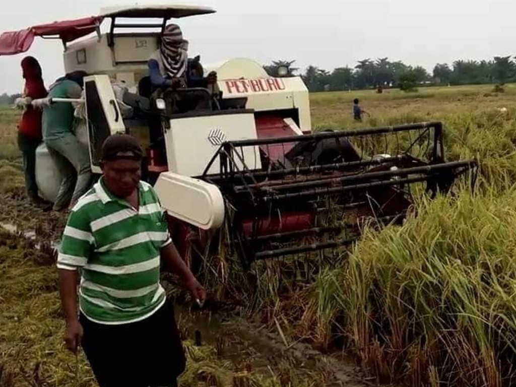 Petani Aceh Tamiang