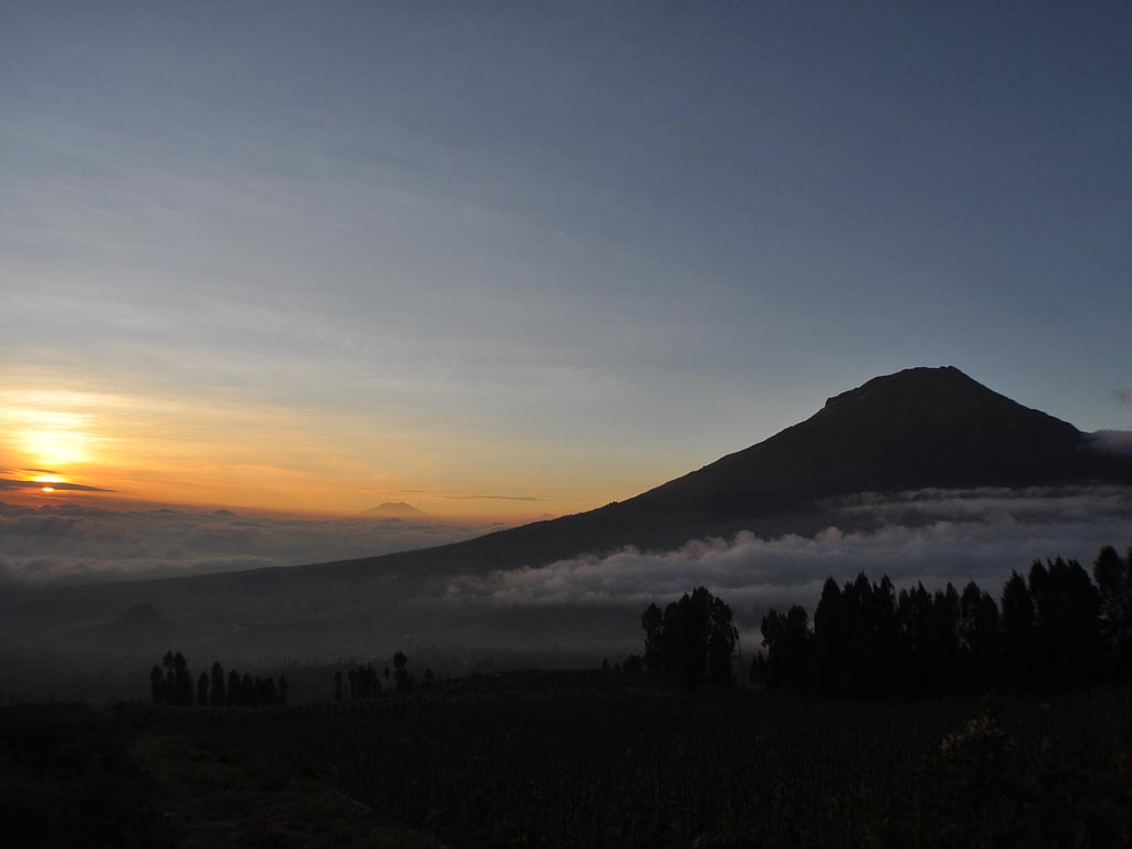 Cerita Kebun Tembakau Posong (5)