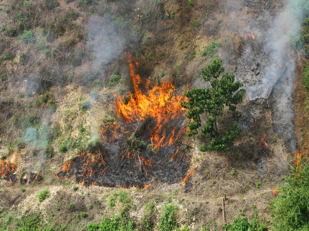 Kebakaran Hutan dan Lahan