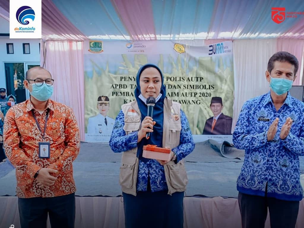 bupati karawang dr cellica