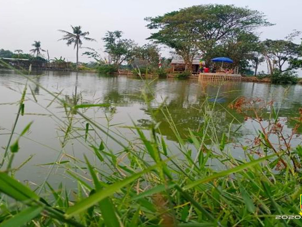 destinasi wisata sawah kab bekasi