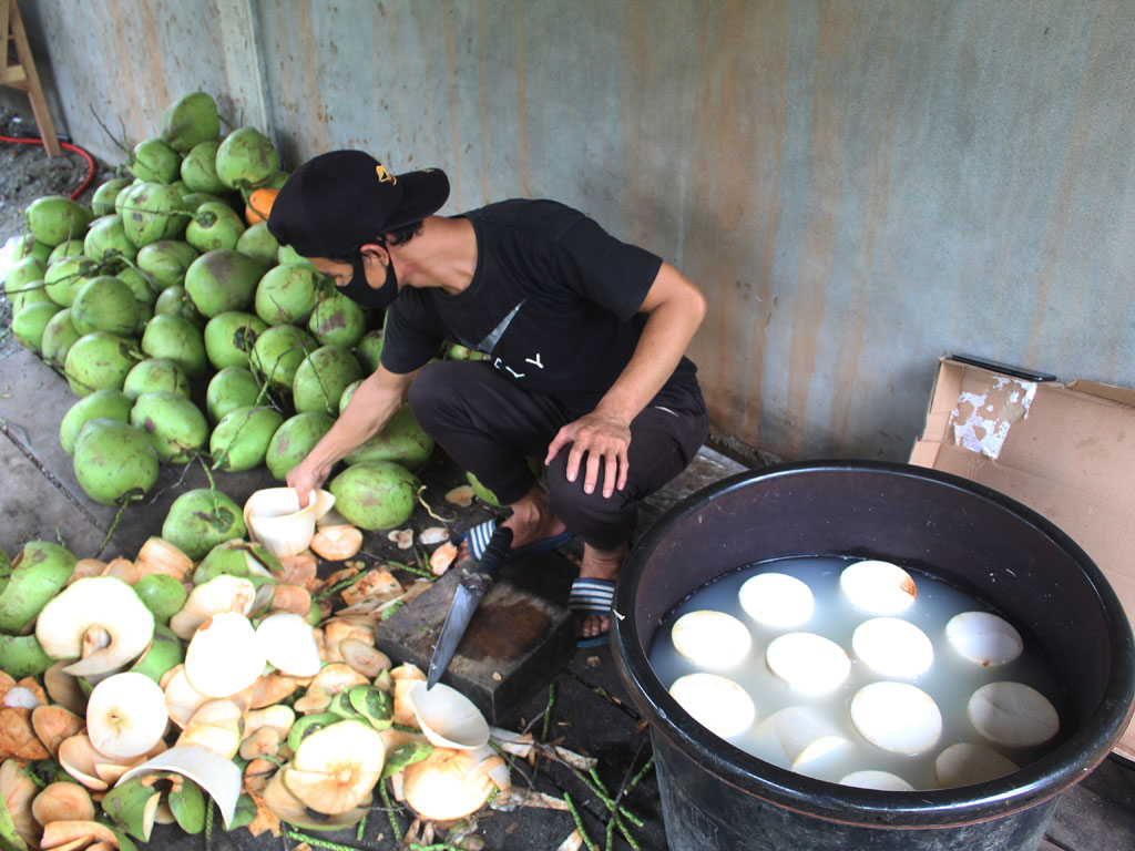 Cerita Kelapa Jeli Aceh (1)