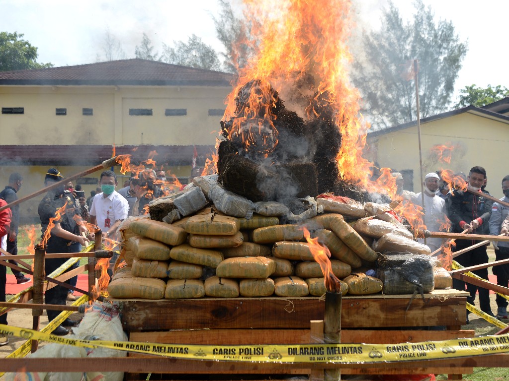 Ganja di Aceh