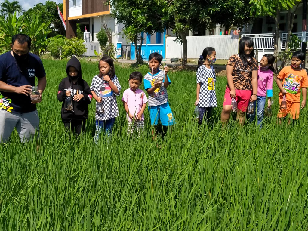 Cerita Belut Banyuwangi (3)