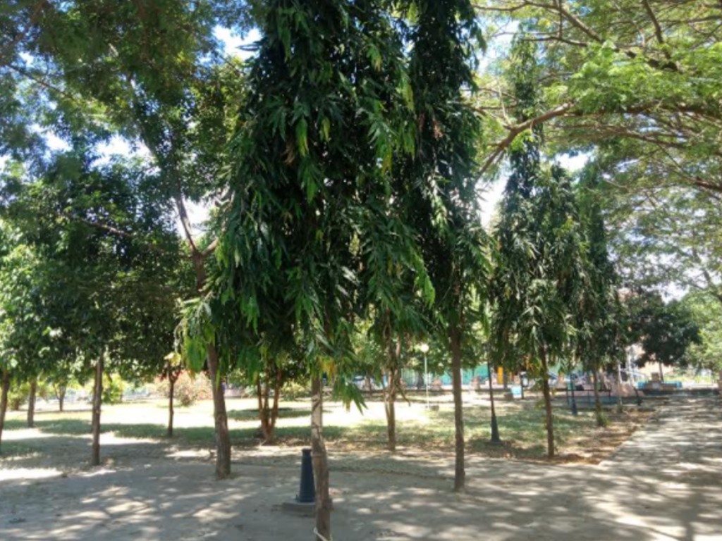 Alun Alun Bulukumba