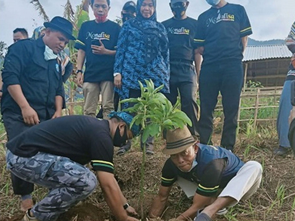 bupati subang tanam alpukat