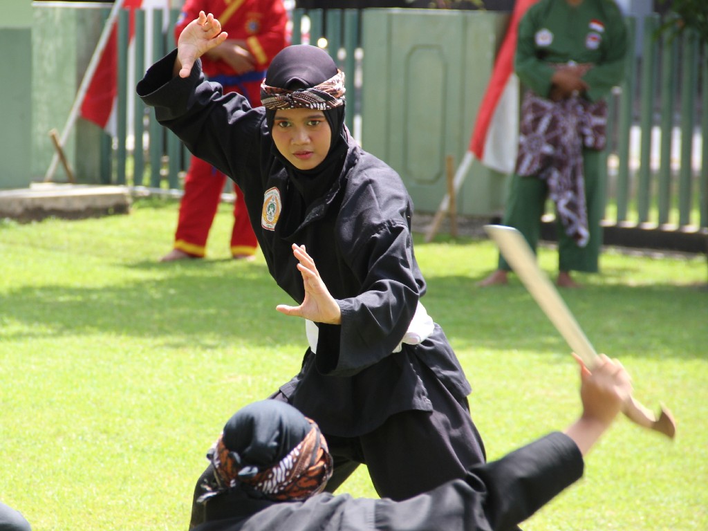 Pencak Silat2