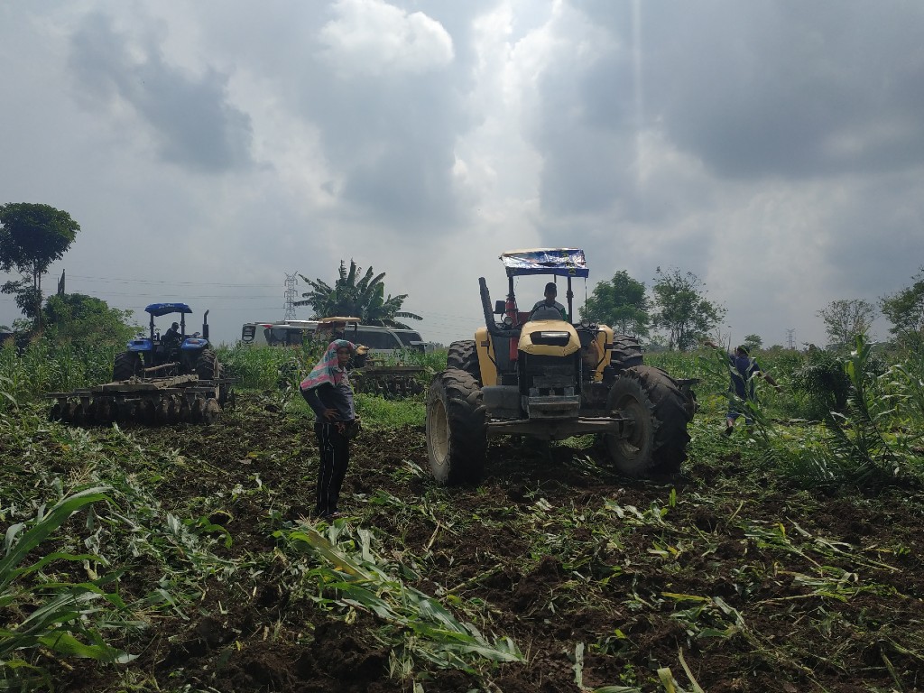 Lahan PTPN II Langkat