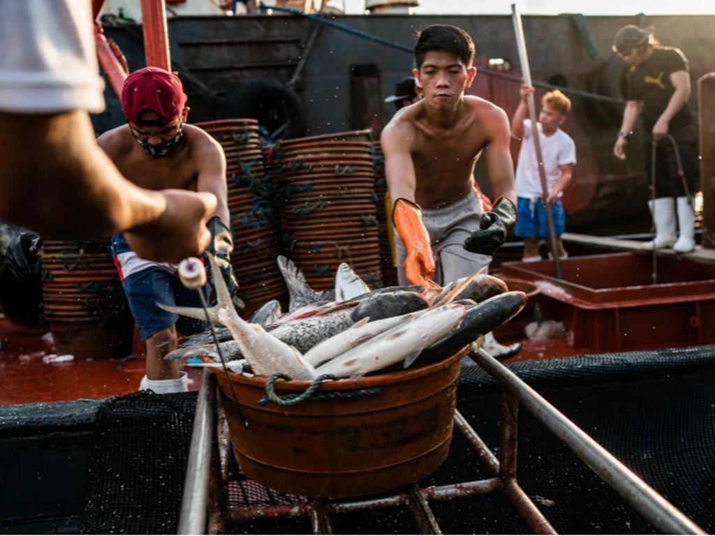 Cerita Nelayan Filipina (2)