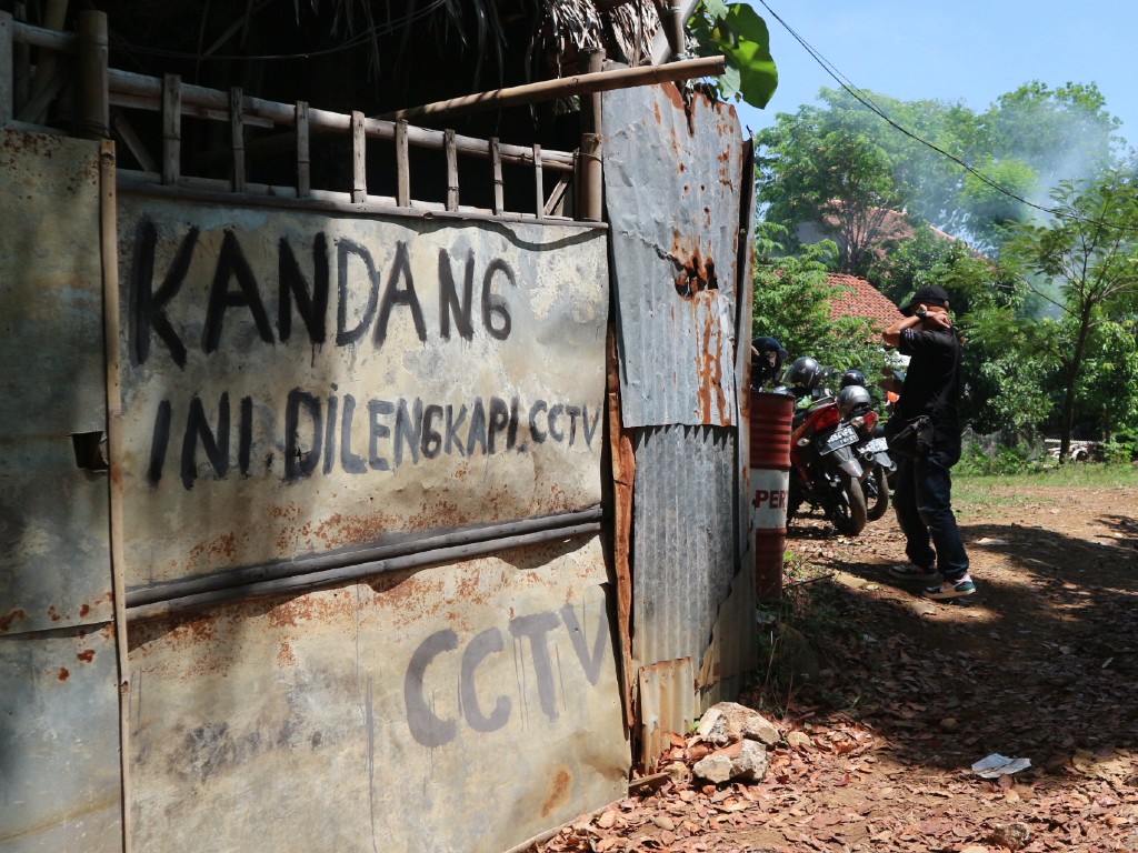 kandang ayam kudus