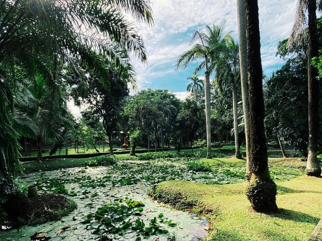 Taman Kota Langsat