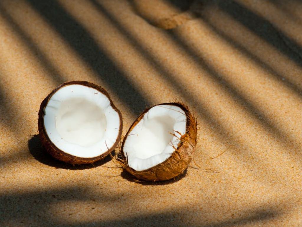 Kelapa