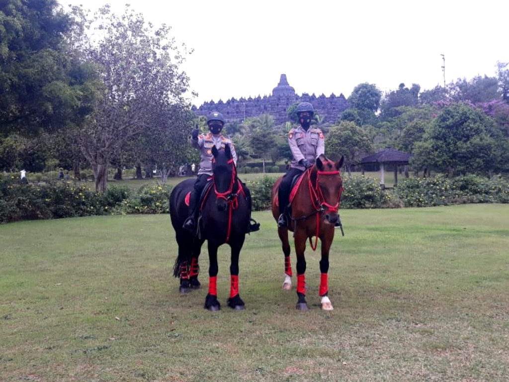 polisi berkuda borobudur