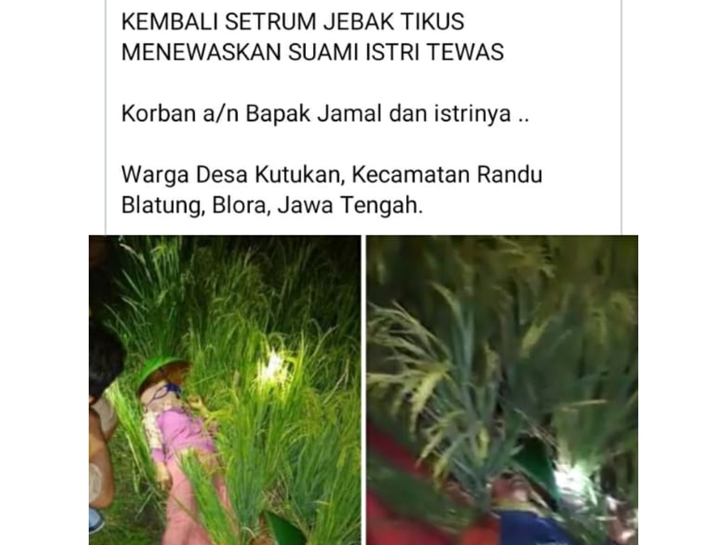 Jebakan tikus