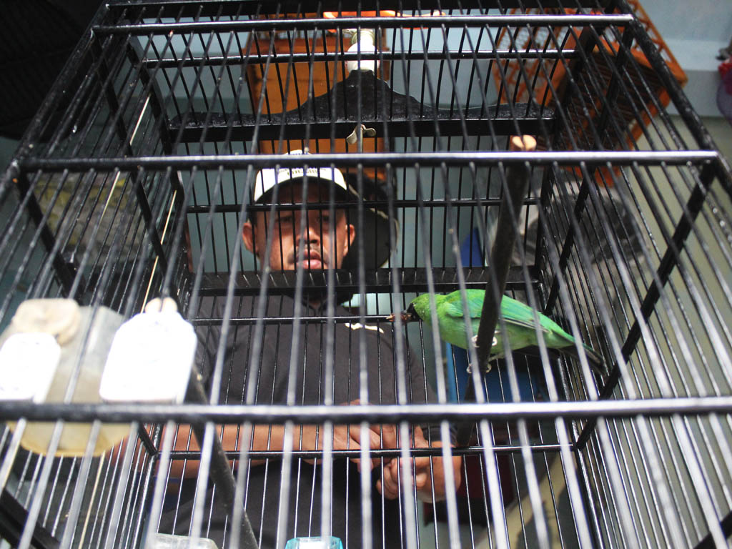 Cerita Burung Aceh Barat (1)