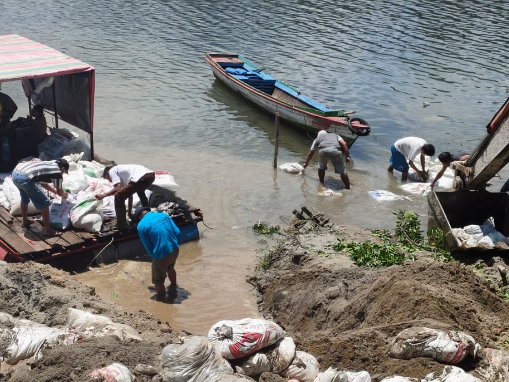 Ikan Mati di Danau Toba